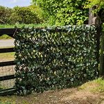 True Products Artificial Leaf Expanding Willow Trellis Garden Fence Balcony Screening 1m x 2m (Maple)