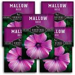 Survival Garden Seeds - Rose Mallow Seed for Planting - 5 Packs with Instructions to Plant and Grow Bright Pink Native Wildflower in Your Home Vegetable Garden - Non-GMO Heirloom Variety