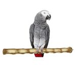 Congo® Premium 18" Long Dotted Sitting and Chewing Perch for Conure, Amazon, African Grey, Macaw and Other Bird Piece of 1