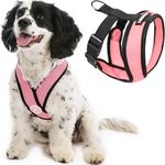 Gooby - Comfort X Head-in Harness, 