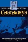 Castaways: Volume 10 (Latin American Literature and Culture)