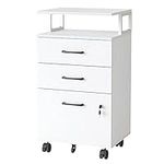 FEZIBO File Cabinet with Lock for H