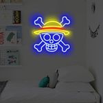 XJNOLGXIQU One Piece Neon Signs Ani