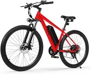 Qlife Racer Electric Bike for Adult
