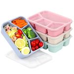 4 Pack Bento Lunch Box - BPA-Free Reusable Bento Box Kids Adult - 4-Compartment Meal Prep Container with Lids - Lunch Box for Kids, Toddler, Adults - Suitable for School, Company, and Travel