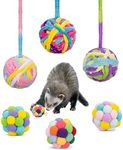 HAICHEN TEC Ferret Toys Ball Set Wo