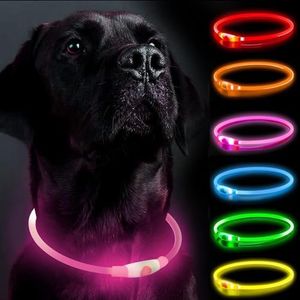 LED Dog Co