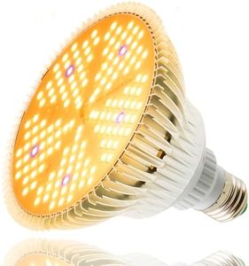 100W LED G