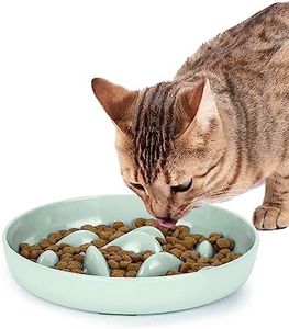 PETTOM Cat Slow Feeder Bowl, Fun Cat Puzzle Feeder Bowl Anti Vomiting, No-Spill Slow Feeder Cat Food Bowl Eating Interactive Anti Gulping Slow Feeder Dog Bowl for Puppy Kitte