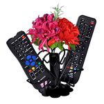 D&V ENGINEERING - Creative in innovation Metal Living Room Tabletop Flower Vase Design Remote Holder/ Stand/ Organizer/ showpiece for TV AC DVD DTH Remotes (Vase Type -2 Remotes).