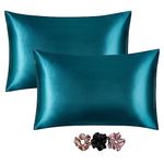 Satin Silk Pillowcase for Hair and Skin, Pillow Cover Set of 2, Soft Luxury Satin Pillow Covers with Envelope Closure, 3 Free Scrunches (Violet Color)