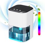 Dehumidifier For Home, Dehumidifier