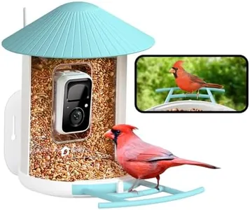 NETVUE by Birdfy Smart Bird Feeder with Camera, Bird Watching Camera, Auto Capture Bird Videos & Motion Detection, Wireless Camera Ideal Present for Bird Lover,Blue