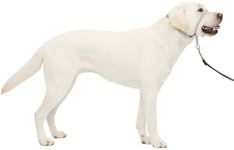 PetSafe Gentle Leader Headcollar - 
