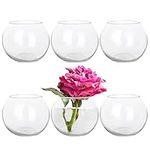 HWASHIN Set of 6 Clear Glass Vases,