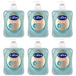 Carex Advanced Care Sea Minerals Antibacterial Hand Wash, 3x More Moisturisers, Clean & Protect Hands, Bulk Buy, Pack of 6 x 500 ml