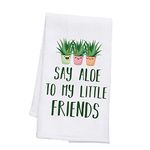 BDPWSS Plant Lover Gift Say Aloe to My Little Friends Dish Towel for Gardener Gift Succulent Plant Gift Crazy Plant Lady Gift (Say Aloe Friends TW CA)