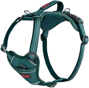 Halti Anatomy Dog Harness with Handle - Padded, Adjustable & Reflective No Pull Dog Harness, 3 Lead Attachment Points including Front Clip, Suitable for Large Dogs (Size L, Teal)