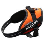 Julius-K9, 16IDC-FOR-M, IDC Powerharness, dog harness, Size: Mini, UV Orange