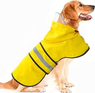 Dog Rainco
