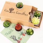 AIXIANG 6 Styles Cactus Tealights Candle Delicate Succulent Tealight Candles for Home Decor New Year Presents, Halloween Gifts, Thanksgiving Gifts, Christmas Gifts and Decorations