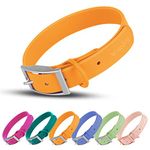 Dog Collar Waterproof