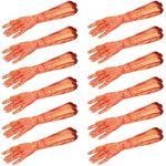 Severed Arm Halloween Prop - Pack of 12-17.5"/45cm Long Fake Severed Arm with Bloody Stump - Adults Halloween Fancy Dress Prop