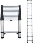 Telesteps 1600E Fully Automatic 12.