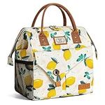 Lekespring Insulated Lunch Bag for 