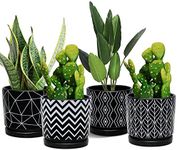 Ton Sin Flower Pots,5.5 Inch Black Ceramic Planter Pot with Drainage Hole,Indoor Cylinder Plant Pots with Saucer,Cactus Succulent Pots Outdoor Garden Pots Set of 4