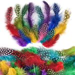 300 Pcs Feather for Crafts, Coloured Craft Feathers, Natural Feather for DIY Dream Catcher Crafts Hats Mask