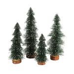 Small Fir Trees