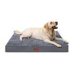 MIHIKK Orthopedic Dog Bed Waterproof Dog Beds with Removable Washable Cover Anti-Slip Egg Foam Pet Sleeping Mattress for Large, Jumbo, Medium Dogs, Dark Grey, 54 x 44 Inch