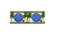 Antibacterial Organic Natural Vegan Soap Bar - Anti-Bacterial 2-Pack - Gift Set – 2 Pure Soap Bars (Pure, Unscented, 2 soap bars)
