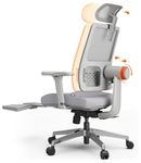 DROGO Ergonomic Office Chair for Work from Home, High Back Computer Chair with Adaptive Lumbar Support, 4D Armrest, Footrest, Recline, Adjustable Height & Headrest, Mesh Chair for Office (Pro Grey)