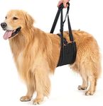 Avont Dog Lift Harness - Upgraded D