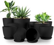 Utopia Home Pack of 10 - Plastic Plant Pots - Planters for Indoor Plants Saucer Tray - Nursery Pots Indoor with Drainage Holes,Succulent Pot (Black)