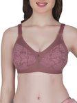 Eve's Beauty Womens Full Coverage Non Wired Everyday Bra with Lace (Wine,32D)