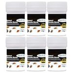 Bed Bug & Flea Killer Smoke Bomb Home Fumigation Fogger Fast Acting Pest Control for Bed Bugs, Fleas & Eggs No Odour No Residue HSE Approved (3.5g Each) Pack of 6