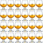 Qunclay 24 Pcs Shot Glasses Shot Glass Cute Cognac Glasses Small Brandy Snifter for Tasting Brandy Drinking Port Glasses for Whiskey Brandy Wine Beer (3.5oz)