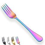 Rainbow Dinner Forks Set of 12, Ber