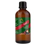 Absolute Aromas Noel Festive Essential Oil with Cinnamon, Clove, Frankincense, Orange, Myrrh and Pine Oil - Great for diffusing at Christmas (100ml)