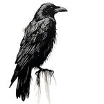 black crow realistic Temporary Tatt