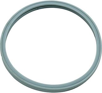 Pentair 614516 Hatteras Light Lens Gasket for Pool Star Pool or Spa Light