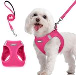 rabbitgoo Dog Harness Small Breed a