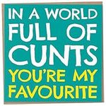 Funny Birthday Card for Friend or Colleague, In A World Full Of Cunts You're My Favourite, Birthday Gift For Male or Female Friend, Work Bestie Card, Rude Cards for Him