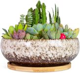 ARTKETTY Succulent Pots - 7.5 Inch Large Plant Pot with Bamboo Tray, Shallow Bonsai Pots with Drainage, Ceramic Planter for Indoor Plants, Cactus, Home Office Desk Decor