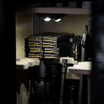ILLUMISAFE Lights Safe Light with P