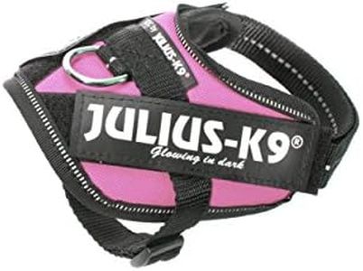 Julius-K9 
