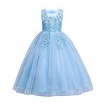 Flower Little Big Girl Lace Embroidery Tulle Sequins Dress Princess Pageant Birthday Party First Communion Wedding Bridesmaid Formal Floor Long Dance Evening Maxi Gown Light Blue 9-10 Years